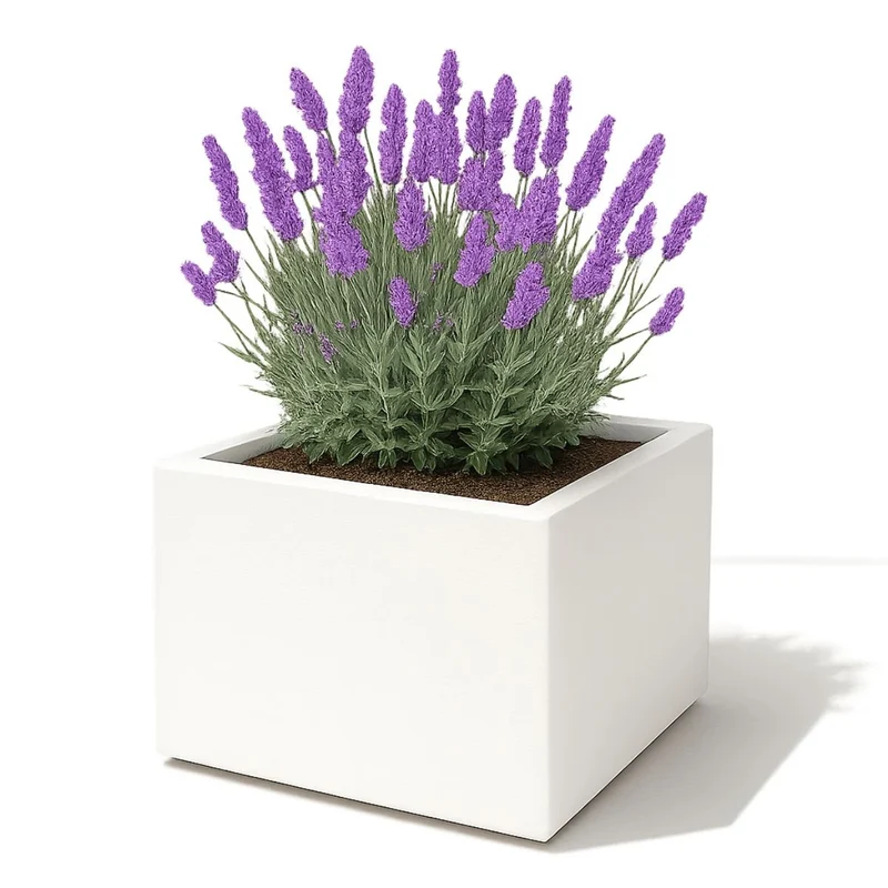 GARDRA Jardinière en polyester blanche pur 60x60x40 cm RAL 9010