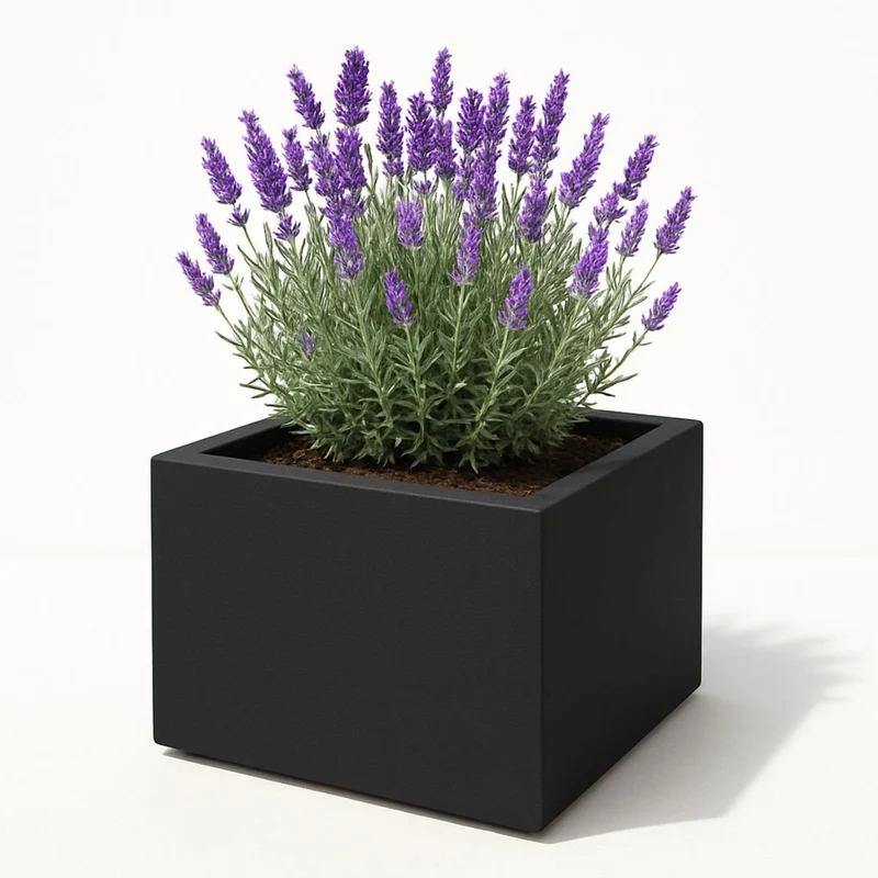 GARDRA Jardinière en polyester noire de jais 60x60x40 cm RAL 9005