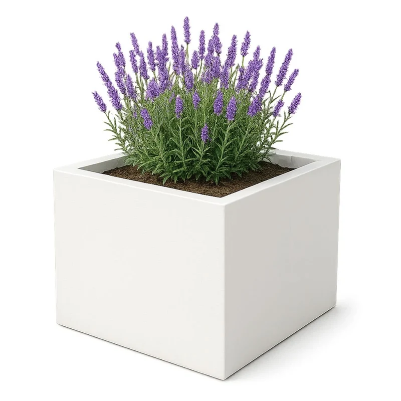 GARDRA Jardinière en polyester blanche pur 100x100x60 cm RAL 9010