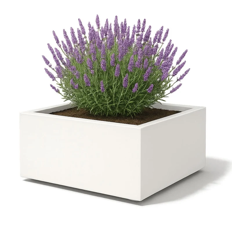 GARDRA Jardinière en polyester blanche pur 120x120x40 cm RAL 9010