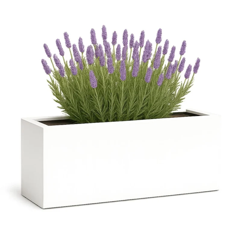 GARDRA Jardinière en polyester blanche pur 120x40x50 cm RAL 9010