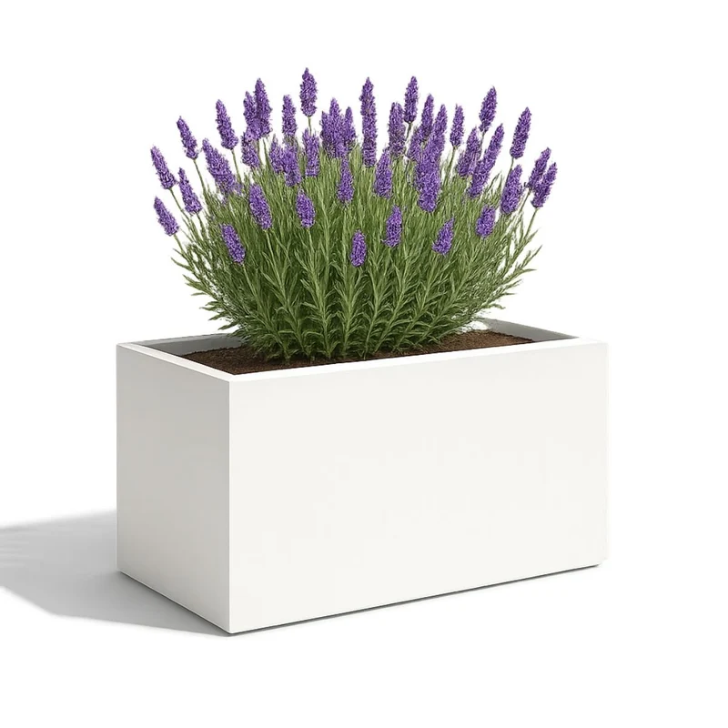 GARDRA Jardinière en polyester blanche pur 100x50x50 cm RAL 9010
