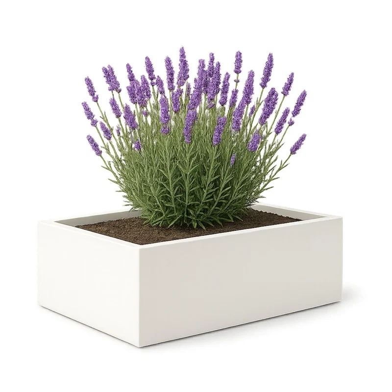 GARDRA Jardinière en polyester blanche pur 180x88x32 cm RAL 9010