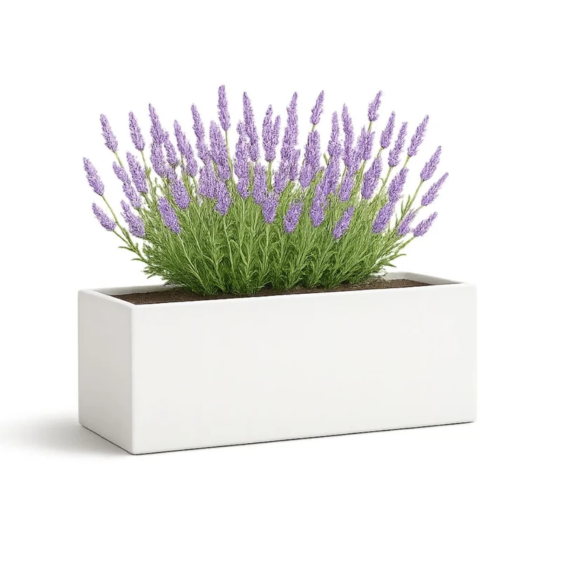GARDRA Jardinière en polyester blanche pur 120x25x35 cm RAL 9010