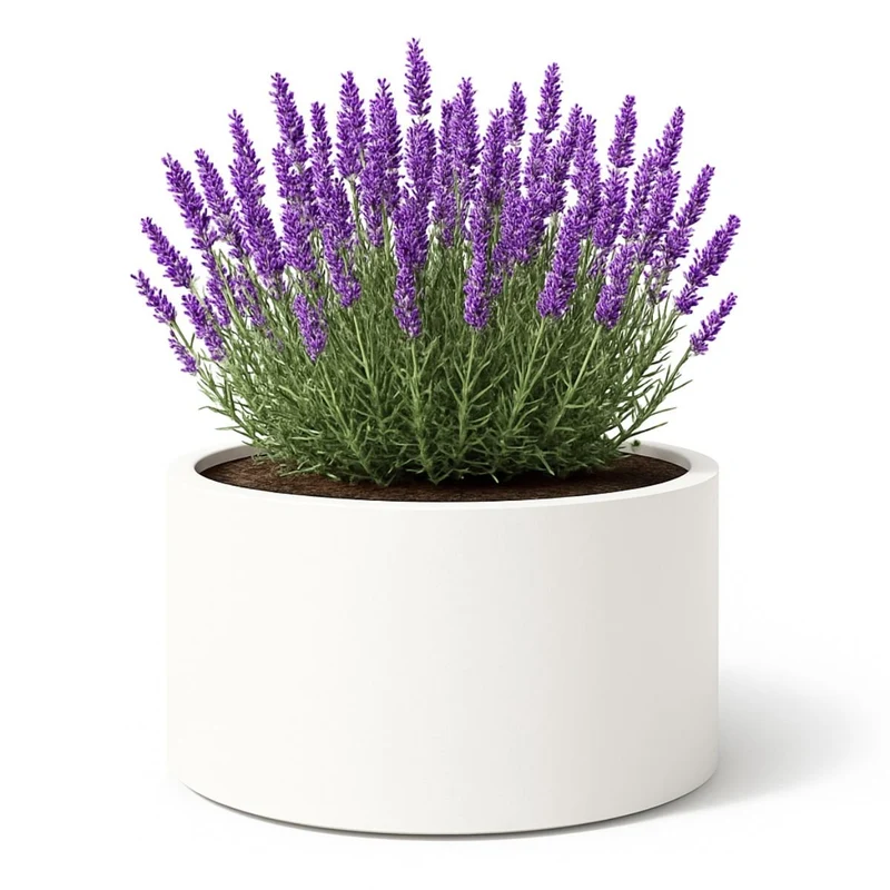 GARDRA Jardinière en polyester blanche pur Ø 120x60 cm RAL 9010