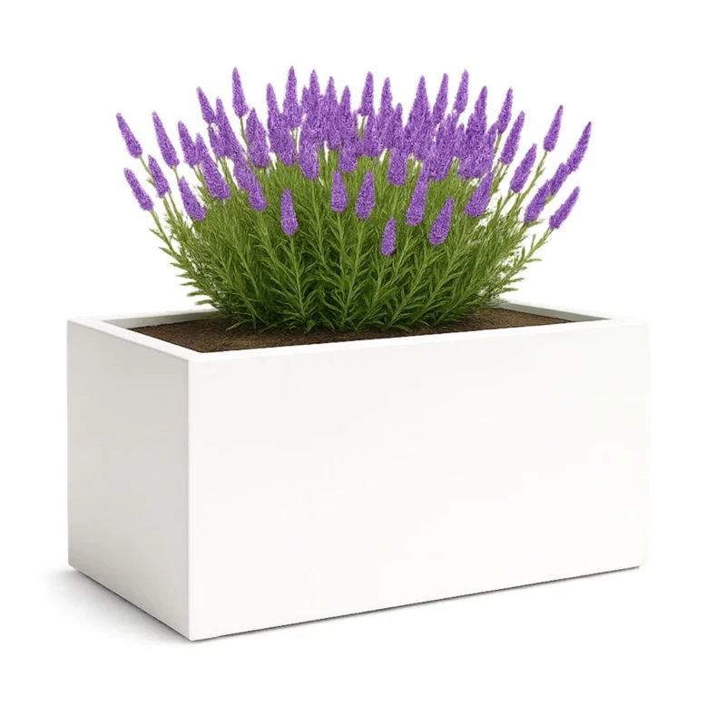 GARDRA Jardinière en polyester blanche pur 120x50x60 cm RAL 9010