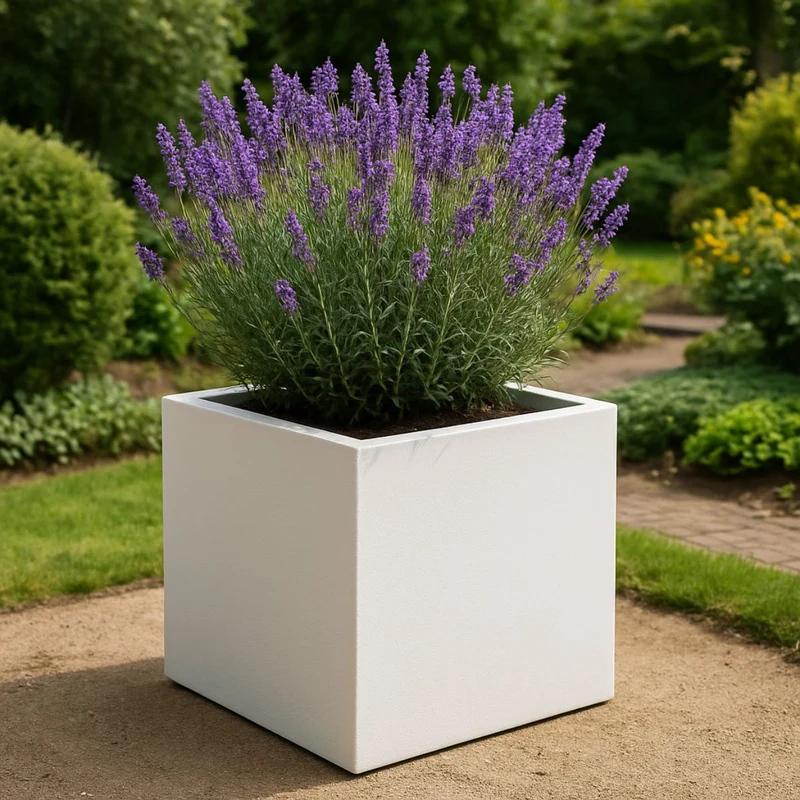 GARDRA Jardinière en polyester blanche pur 60x60x60 cm RAL 9010