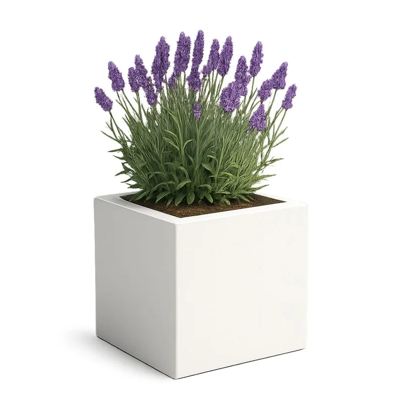 GARDRA Jardinière en polyester blanche pur 60x60x60 cm RAL 9010