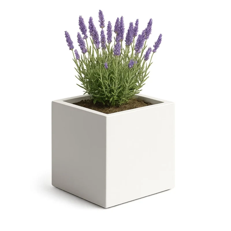 GARDRA Jardinière en polyester blanche pur 50x50x50 cm RAL 9010