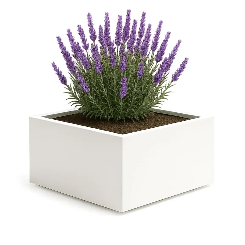 GARDRA Jardinière en polyester blanche pur 80x80x40 cm RAL 9010