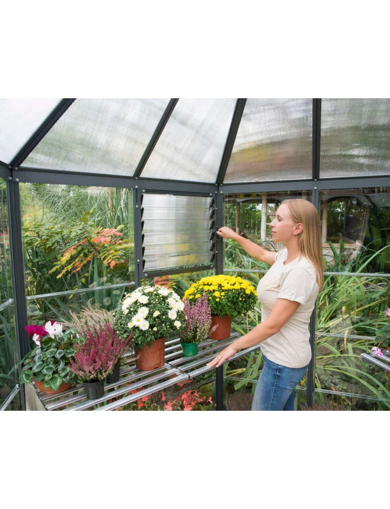 Serre de jardin hexagonale Oasis 2,47 x 2,13 m grise - aluminium - fenêtre et gouttières