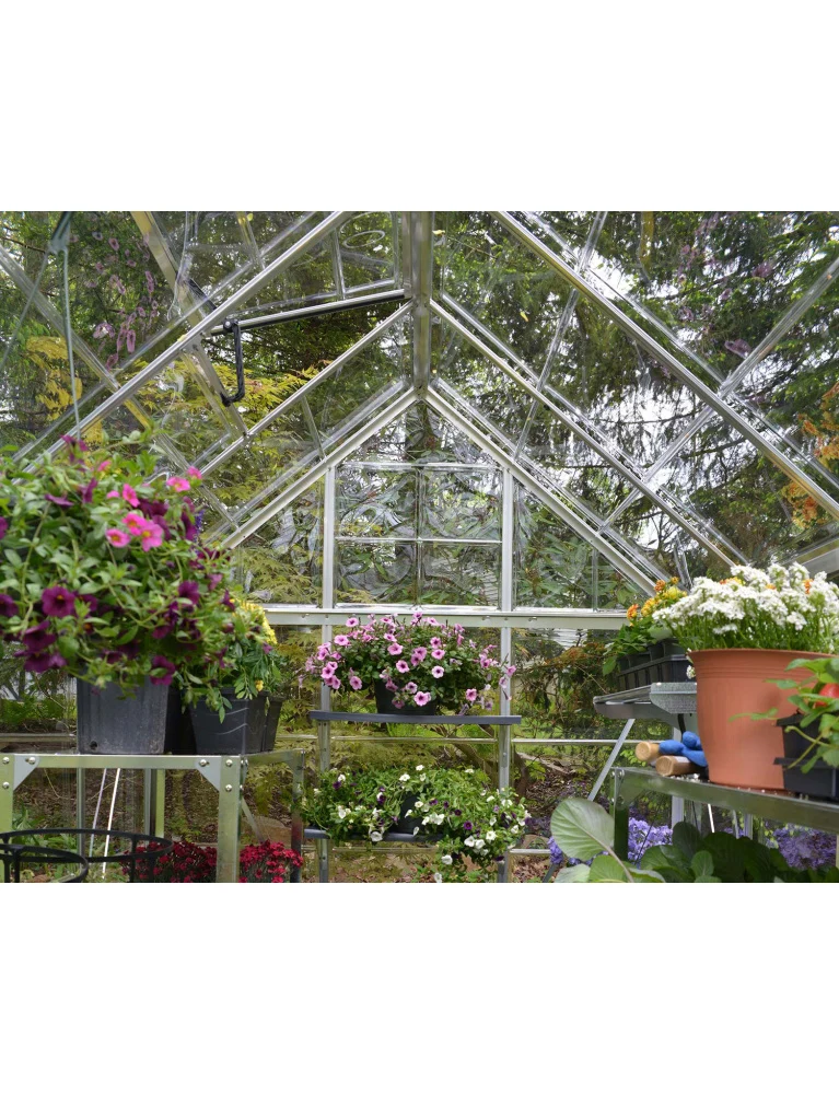 Serre de jardin Harmony 2,47 x 1,85 m Silver - aluminium - fenêtre et gouttières