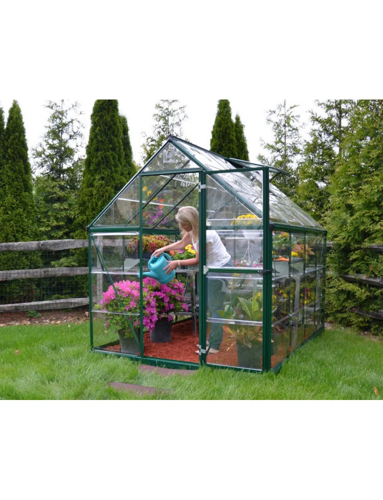 Serre de jardin Harmony 2,47 x 1,85 m verte- aluminium - fenêtre de toit et gouttières