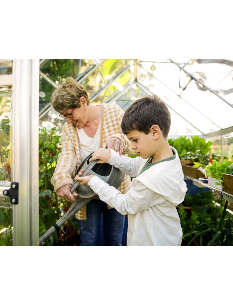 Serre de jardin Harmony 1,85 x 1,26 m silver - aluminium - fenêtre de toit et gouttières