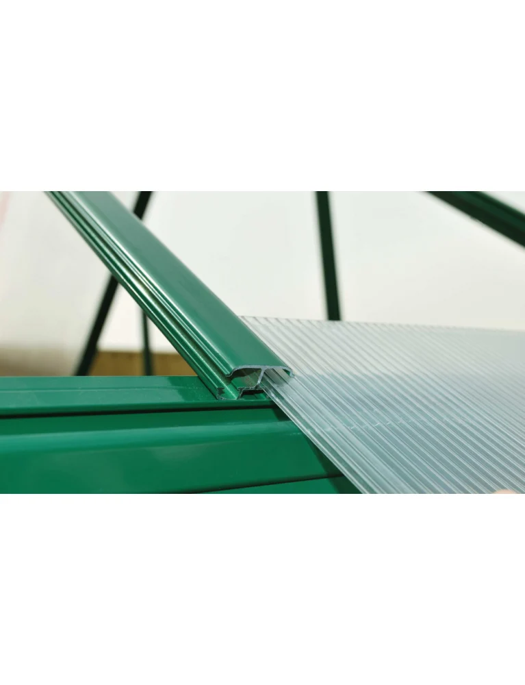 Serre de jardin Mythos 1,85 x 2,46 m verte – aluminium – fenêtres de toit & Gouttières