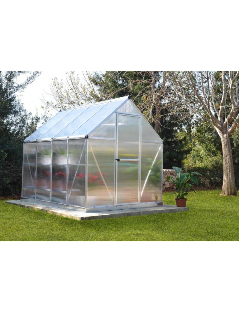 Serre de jardin Mythos 1,85 x 2,46 m silver - aluminium - fenêtre de toit et gouttières