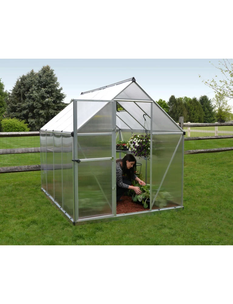 Serre de jardin Mythos 1,85 x 2,46 m silver - aluminium - fenêtre de toit et gouttières