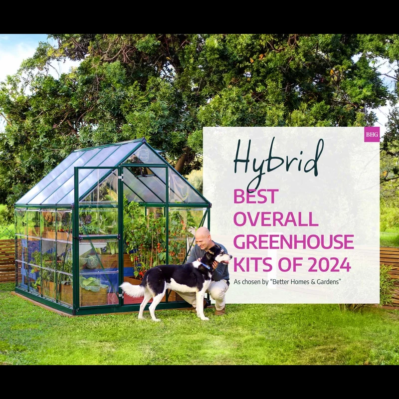 Serre de jardin Hybrid 5,6 m² – vert – polycarbonate double paroi, aluminium, base acier, ventilation, montage facile