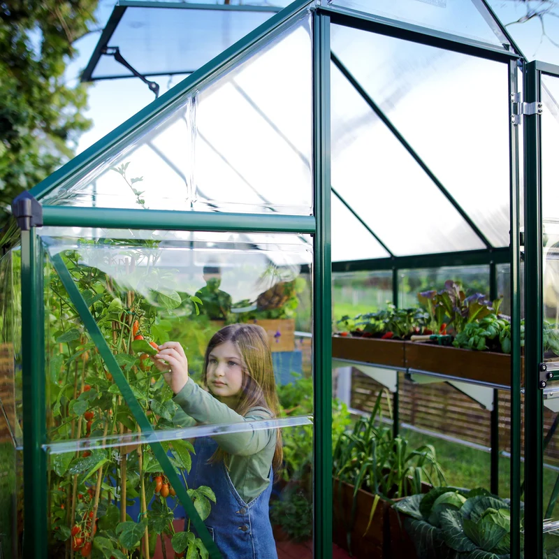Serre de jardin Hybrid 5,6 m² – vert – polycarbonate double paroi, aluminium, base acier, ventilation, montage facile