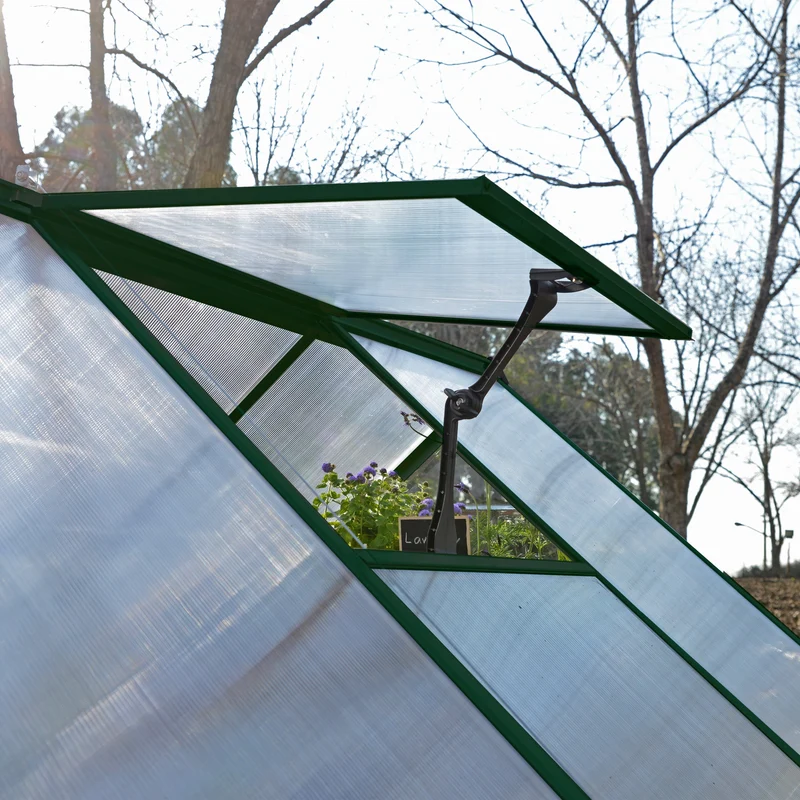 Serre de jardin Hybrid 5,6 m² – vert – polycarbonate double paroi, aluminium, base acier, ventilation, montage facile