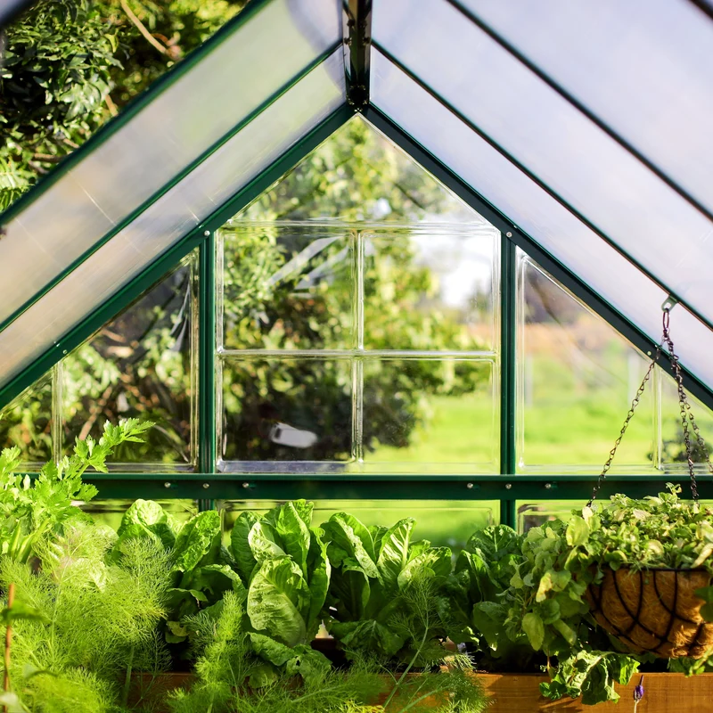 Serre de jardin Hybrid 5,6 m² – vert – polycarbonate double paroi, aluminium, base acier, ventilation, montage facile
