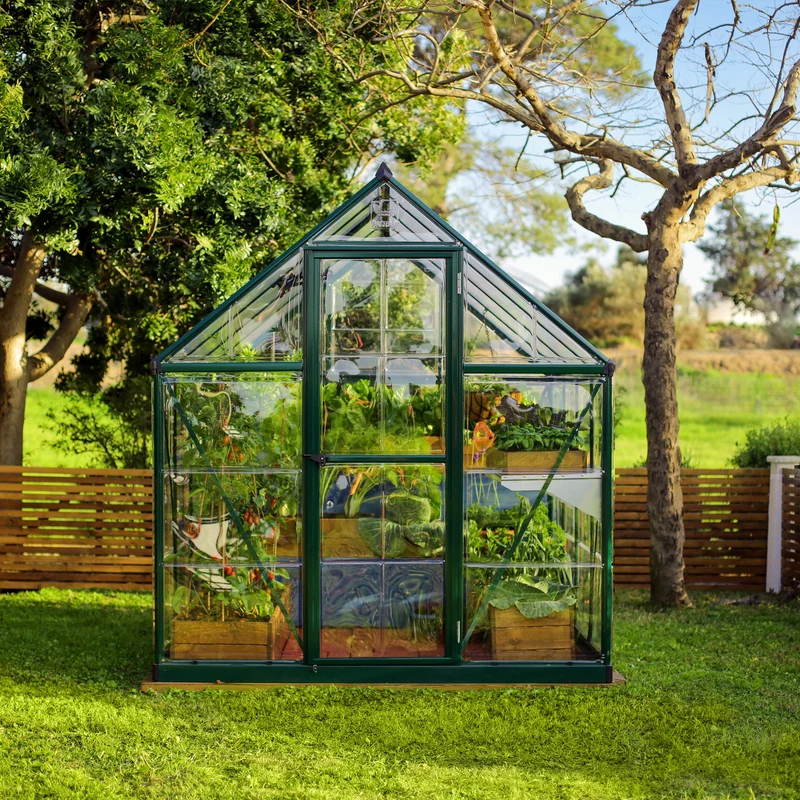 Serre de jardin Hybrid 4,6 m² – vert - polycarbonate double paroi, aluminium, base acier, ventilation, montage facile