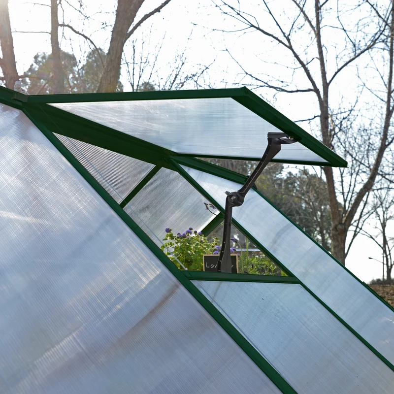 Serre de jardin Hybrid 4,6 m² – vert - polycarbonate double paroi, aluminium, base acier, ventilation, montage facile