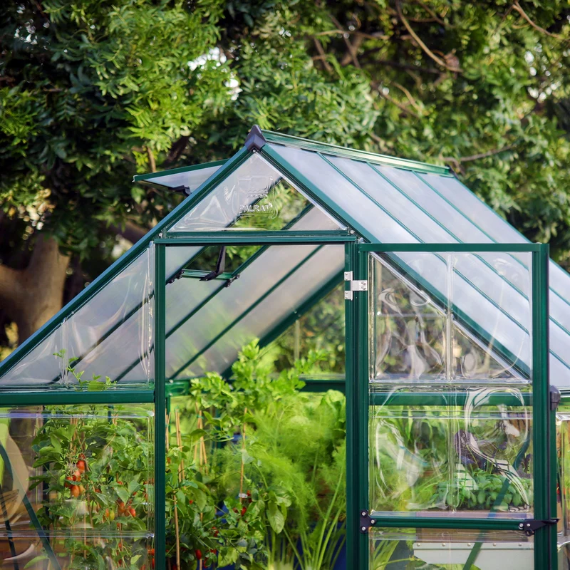 Serre de jardin Hybrid 4,6 m² – vert - polycarbonate double paroi, aluminium, base acier, ventilation, montage facile