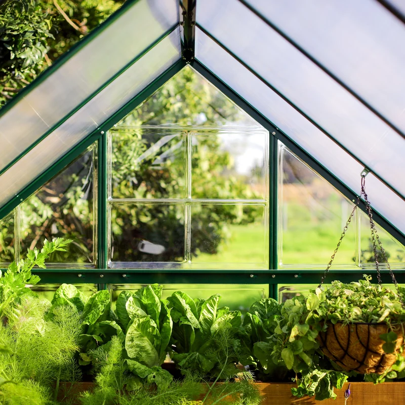 Serre de jardin Hybrid 4,6 m² – vert - polycarbonate double paroi, aluminium, base acier, ventilation, montage facile