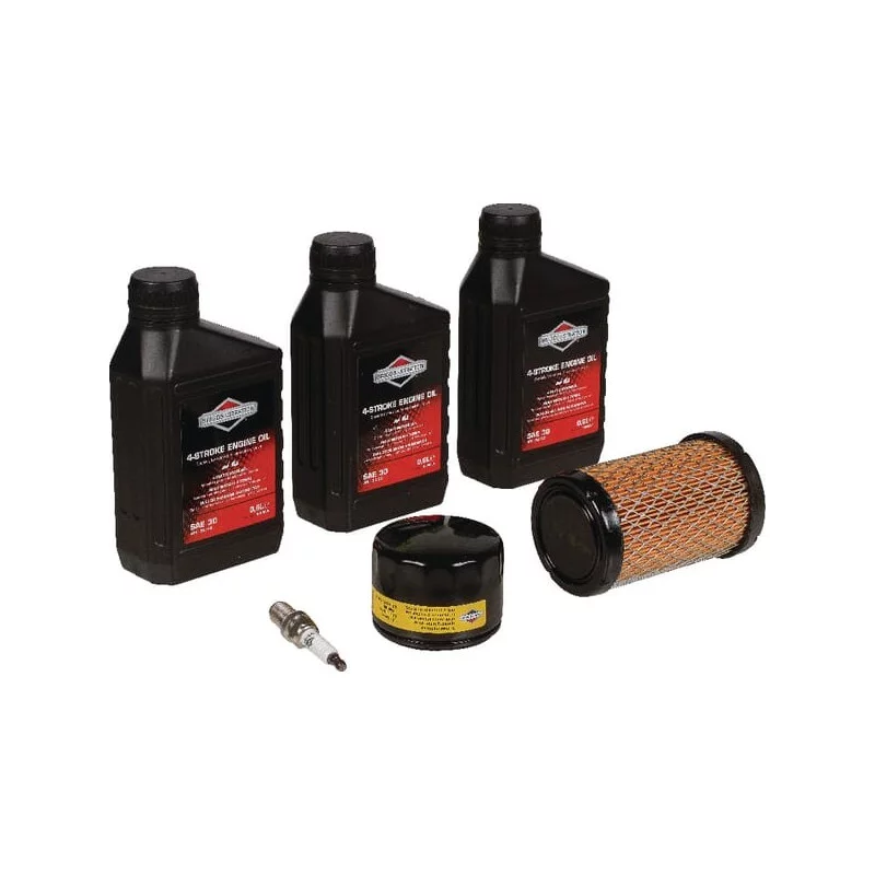 KIT ENTRETIEN MOTEUR BRIGGS ORIGINE ROND LONG 500cm³