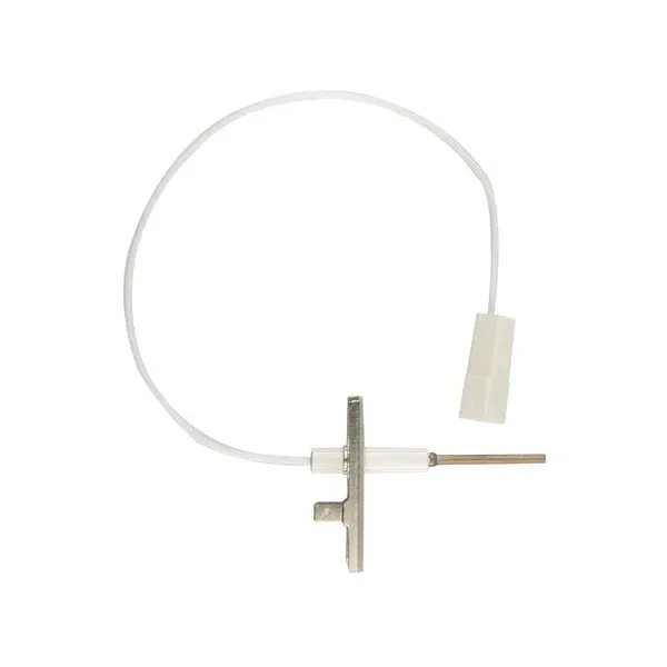 Électrode pour chaudière Biasi BI1313104 Rilev M160
